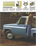 1981 Chevy Pickups-04